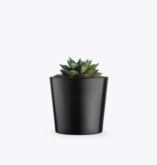 product-image-3_optimized Odio Pellentesque
